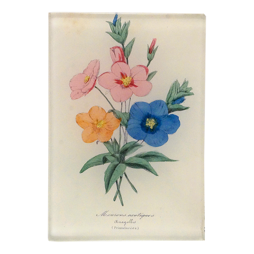 A floral print featuring pink, orange, and blue flowers with green leaves on a three and a half inch by five inch glass tray. 