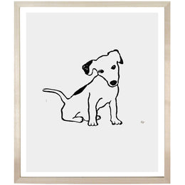 Terrier Puppy