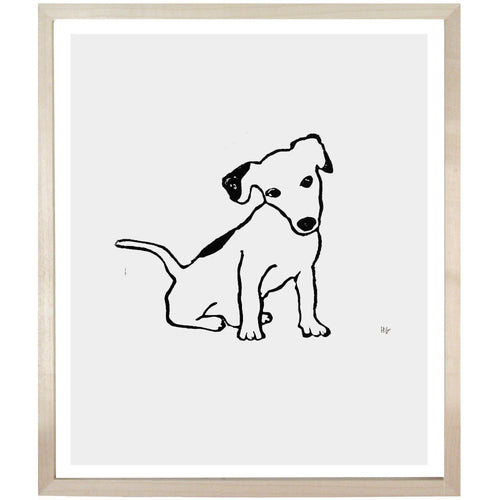 Terrier Puppy
