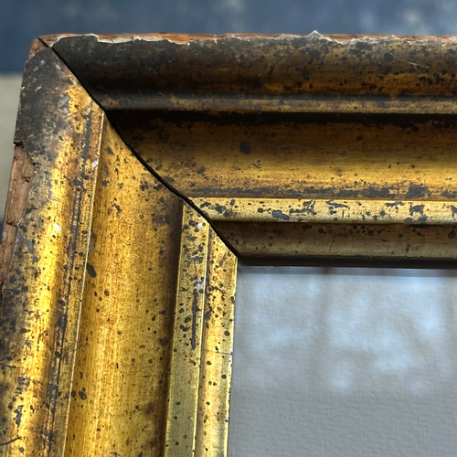 "Turtle" in a Vintage Gilded Frame