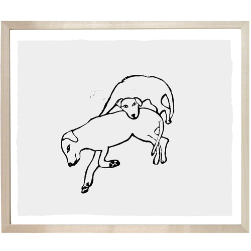 Two Labradors