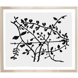 Vine on a Wire