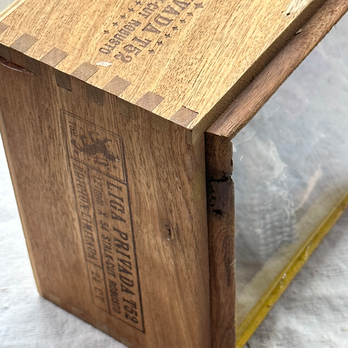 "Yellow Bunk" Assemblage