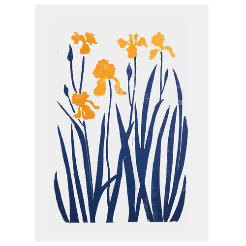 Indigo & Yellow Iris