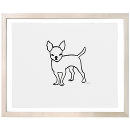 Chihuahua