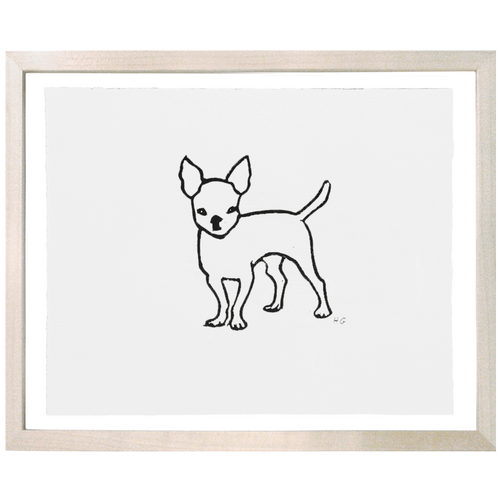 Chihuahua
