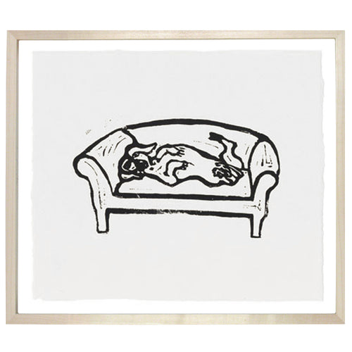 Dachshund on Sofa