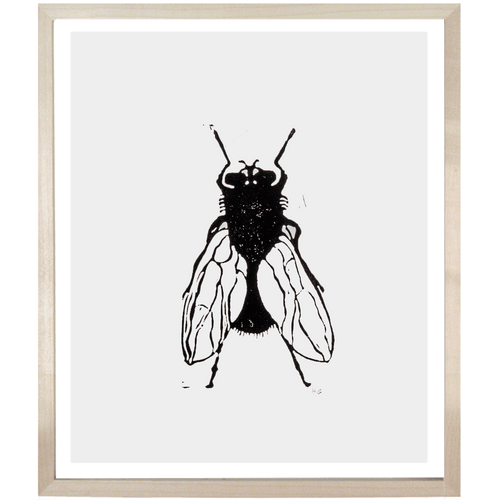 Fly