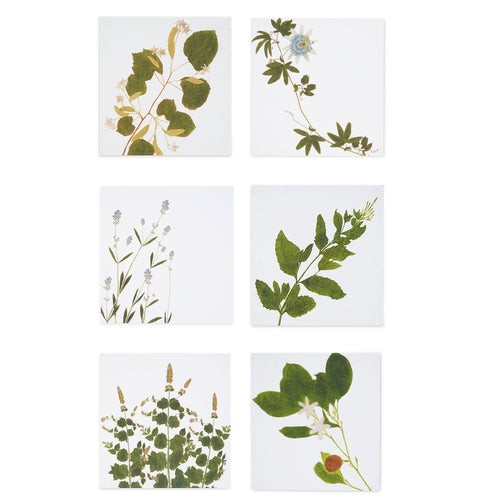 Summerill & Bishop Infusion Tisane Herbs Linen Napkin Set of 4