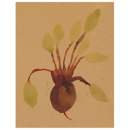 Beets (p 15)