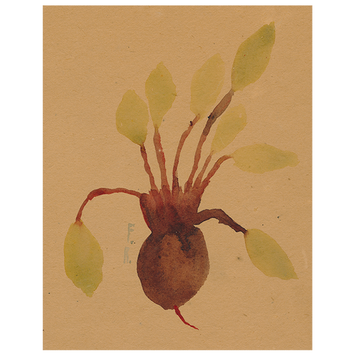 Beets (p 15)
