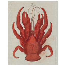 Lobster Top (p 35)