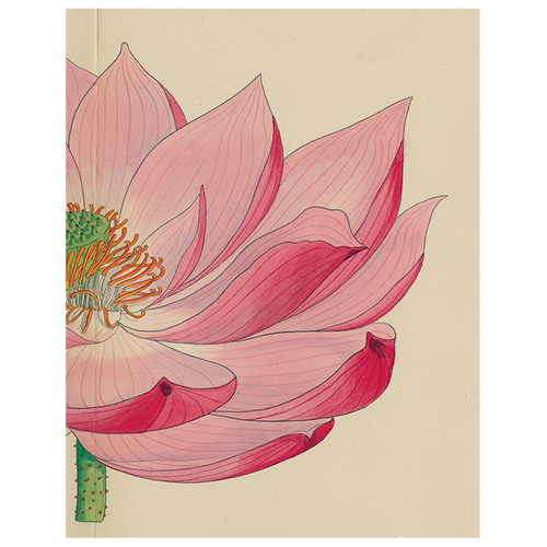 Painted Lily (p 38)