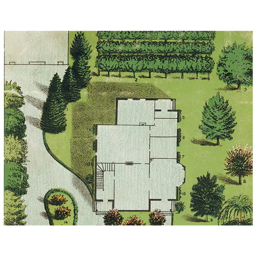 Ornamental Trees (p 59)