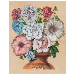 Petunias (p 65)