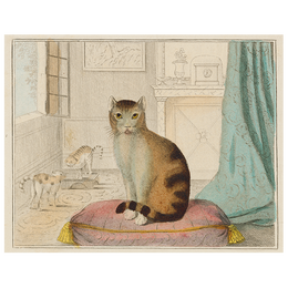 Calm Cat (p 69)