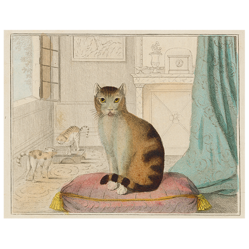 Calm Cat (p 69)