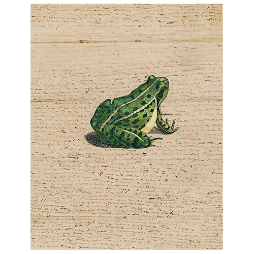 Frog Prince (p 81)