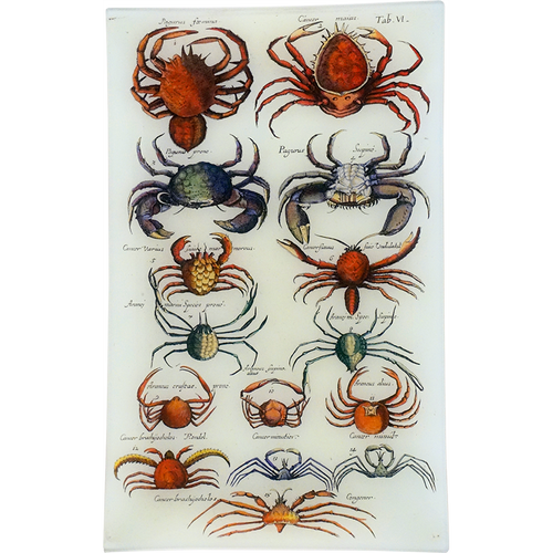 Crabs VI