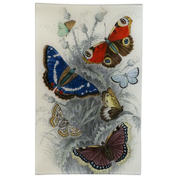 Dancing Butterflies