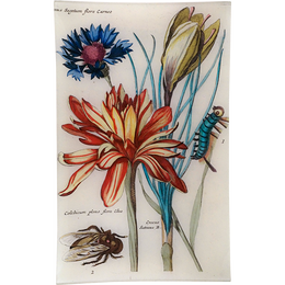 3 Flowers