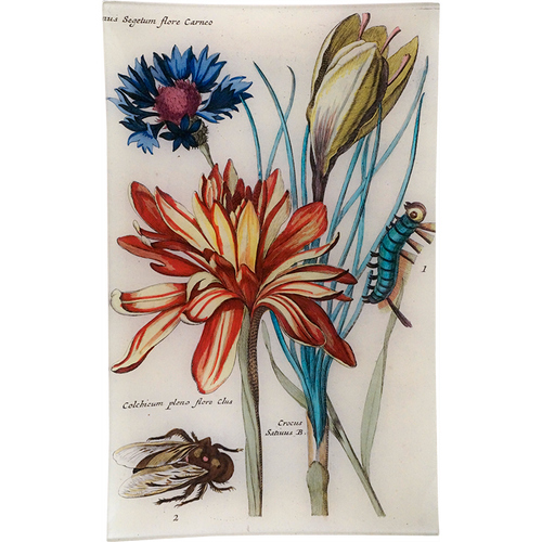 3 Flowers