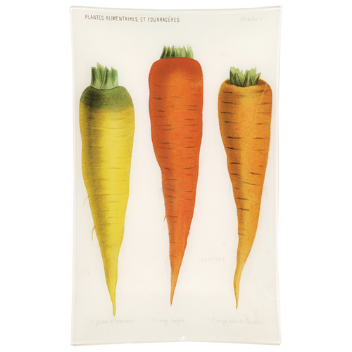 V - Carottes de Flandre (Vegetable)