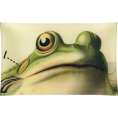 Frog Close-Up