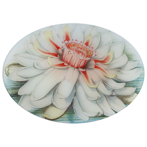 A ten inch by fourteen inch horizontal oval glass plate featuring a central lily with white petals and a red and yellow center.