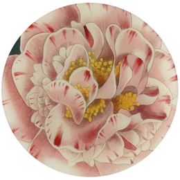An eleven inch glass plate featuring a  variegated camellia flower.
