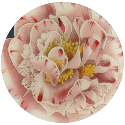 An eleven inch glass plate featuring a  variegated camellia flower.
