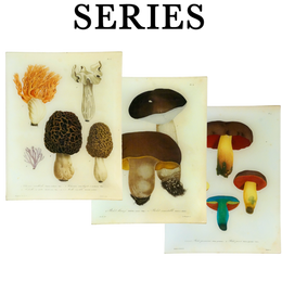 Mushrooms