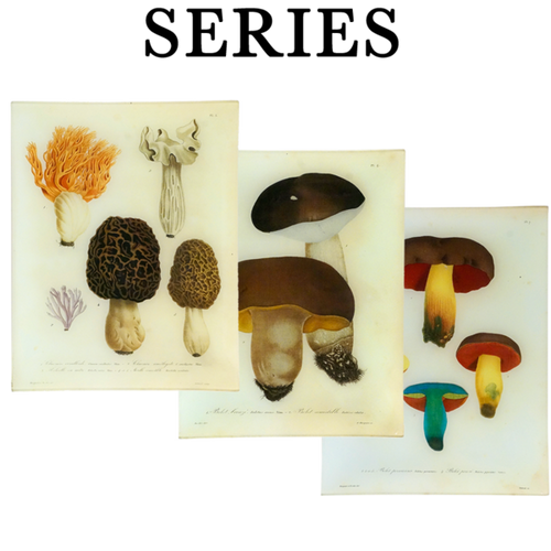 Mushrooms