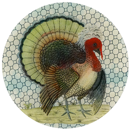 A 13-inch round glass plate with a turkey wire (crested)  featuring a vibrantly colored turkey on a patterned background.