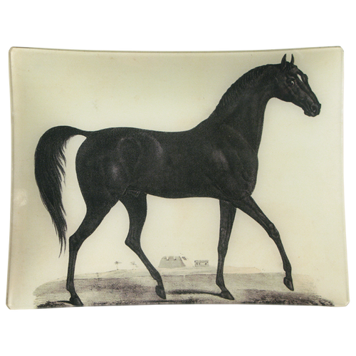 Arabian Horse