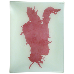 #11 Seaweed (XCII)