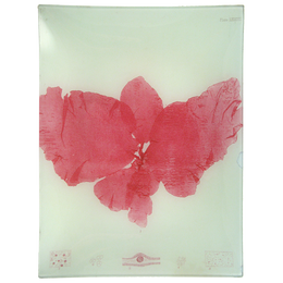 #13 Seaweed (LXXXVII)