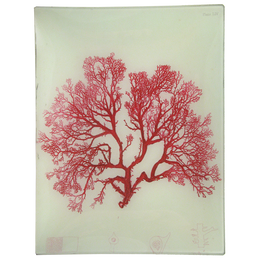 #21 Seaweed (LIV)
