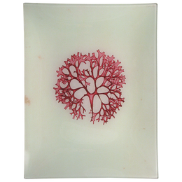 #31 Seaweed (CCII)