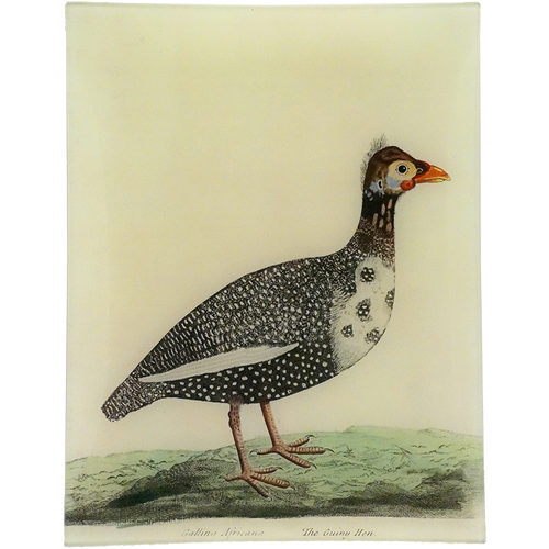 #61 - The Guiny Hen