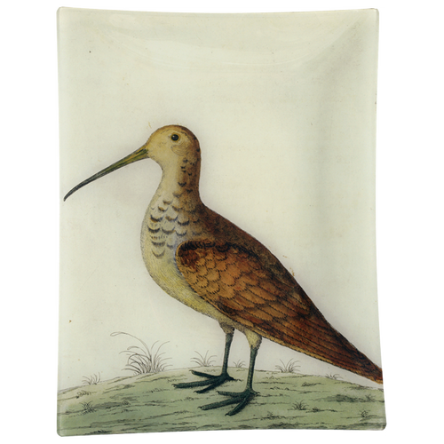 #22 - White Woodcock