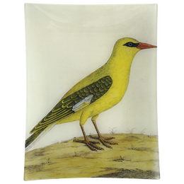 #20 - Bengali Yellow Bird