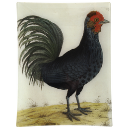 #17 - Hamburg Cock