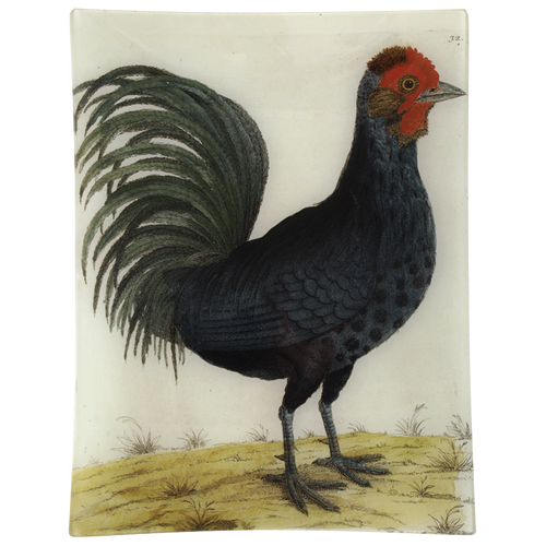 #17 - Hamburg Cock
