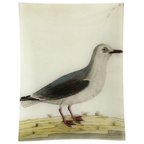 #32 - White Gull