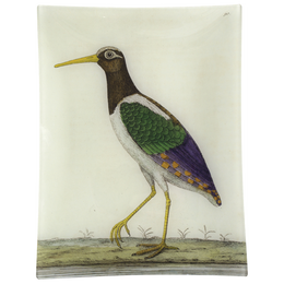 #34 - Water Rail