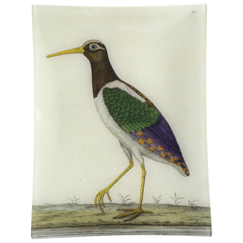 #34 - Water Rail