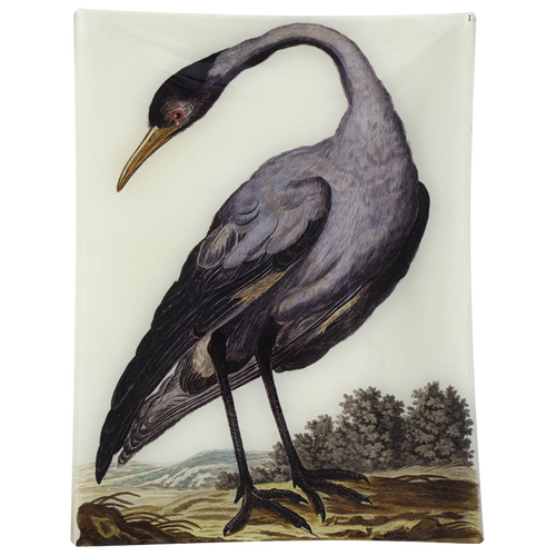 #36 - Crane
