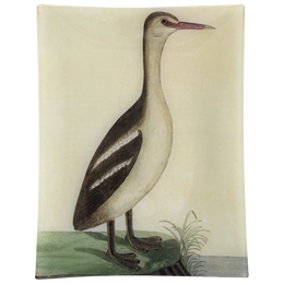 #39 - Great Sea Loon