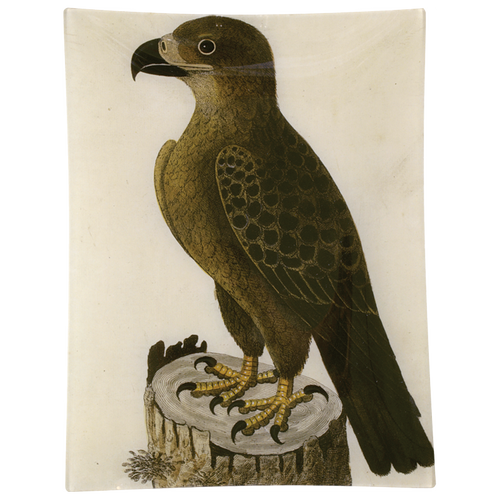 #40 - Golden Eagle